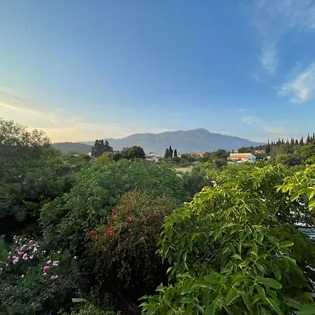 Modern Urban Oasis - *