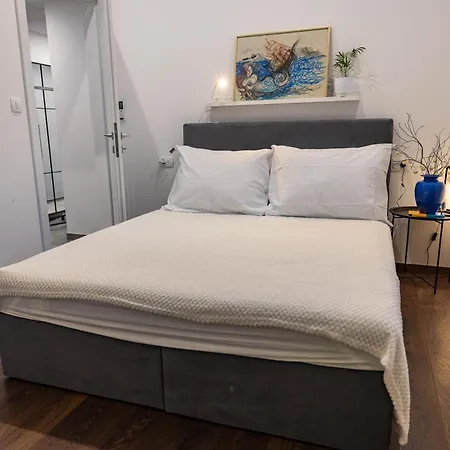 Modern Urban Oasis - *