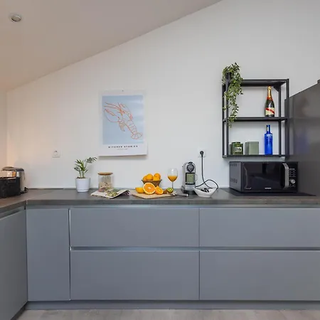 Modern Urban Oasis -