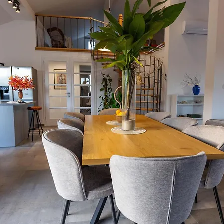 Modern Urban Oasis -