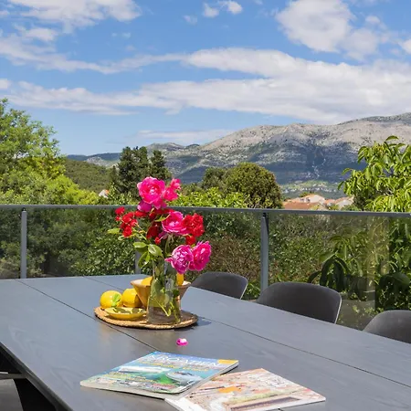 Modern Urban Oasis -