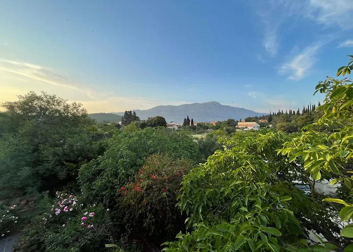 Modern Urban Oasis - *