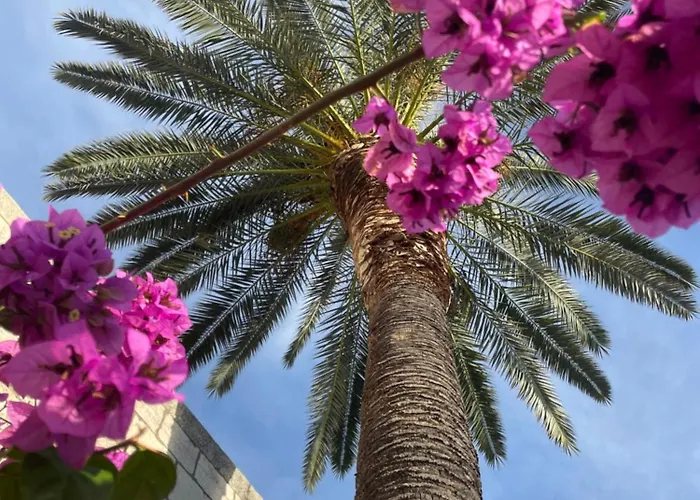 Modern Urban Oasis - *