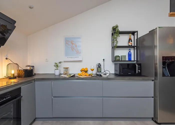 Modern Urban Oasis -