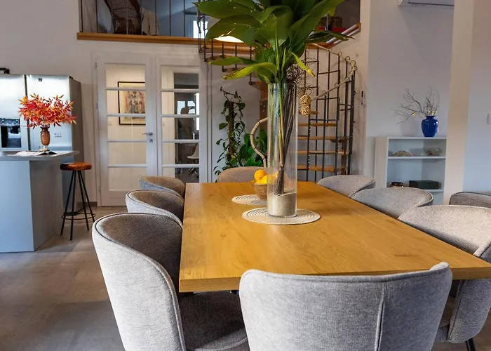 Modern Urban Oasis -