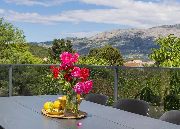 Modern Urban Oasis -